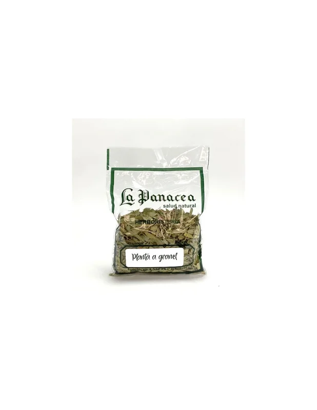 lapanaceabio5300671