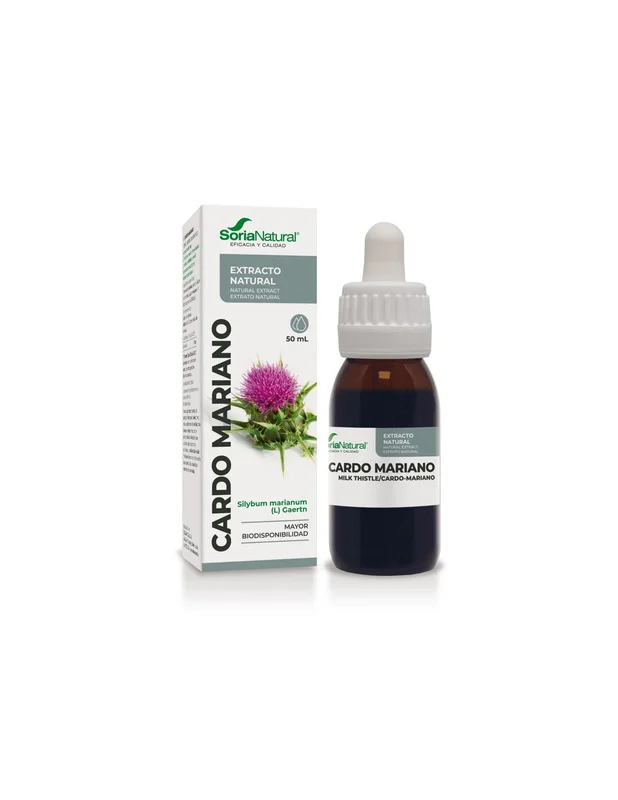 lapanaceabio5327357